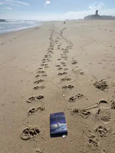 Adventures of a Soul resting beside footprints in beach sand