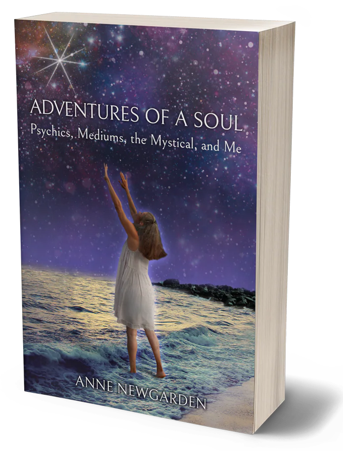 Cover of Adventures of a Soul shown as a three-dimensional paperback