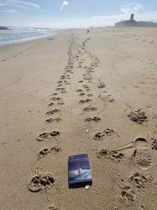 Adventures of a Soul resting beside footprints in beach sand