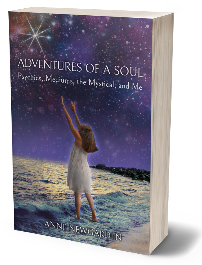 Cover of Adventures of a Soul shown as a three-dimensional paperback