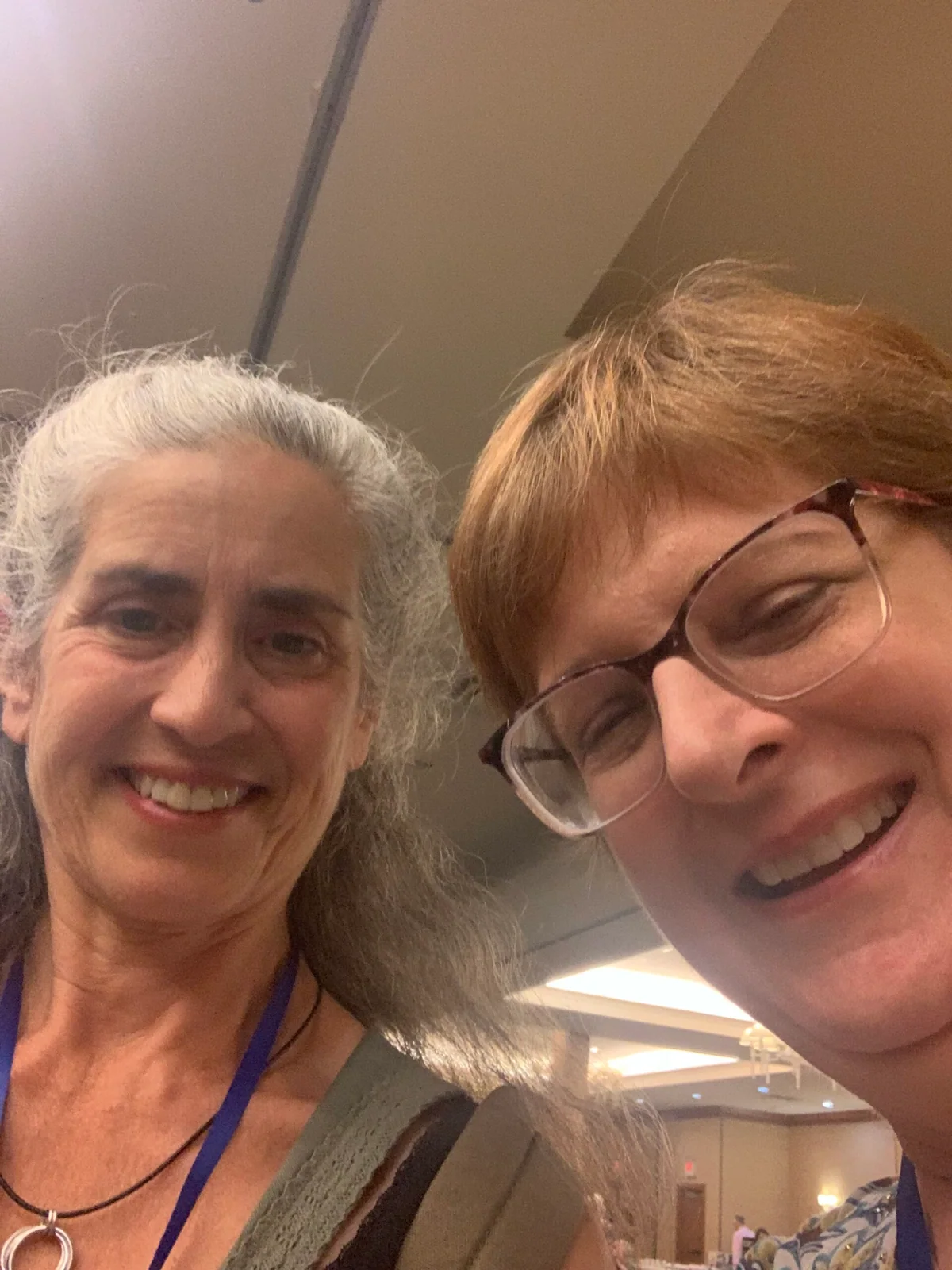 Anne Newgarden taking a selfie with her friend Deb at the Rochester event